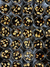 Load image into Gallery viewer, Overhead view of several rows of open jars of pickled black garlic
