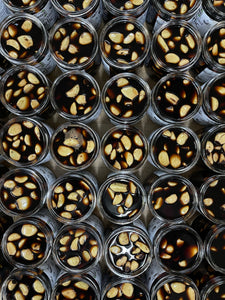 Overhead view of several rows of open jars of pickled black garlic